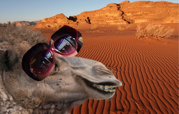 Creation of Ugly Betty of the Desert: Step 6